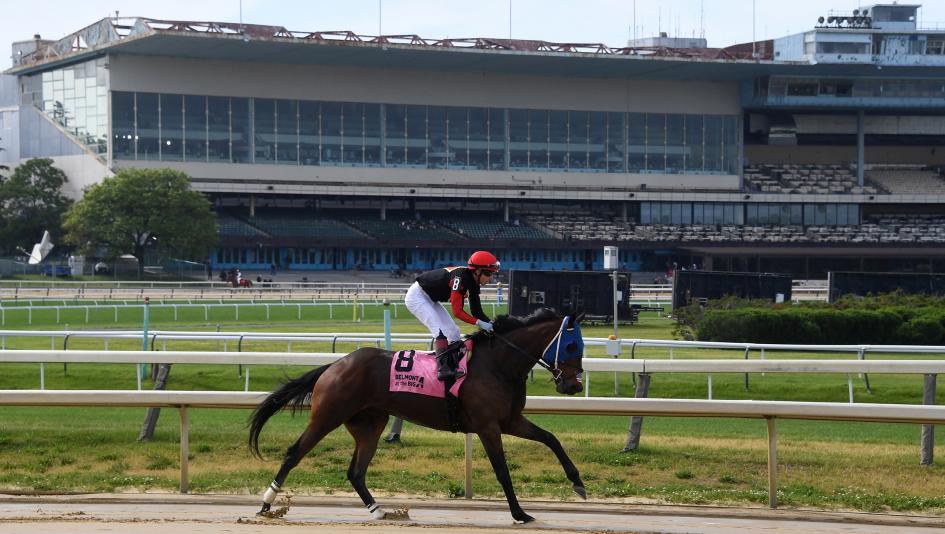 ABR Sunday Selections: Full-Card Picks for June 14 at Belmont at the Big A
